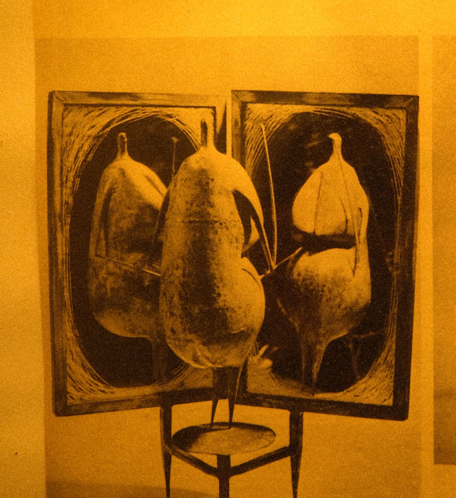 Reference: Dragos Chicken